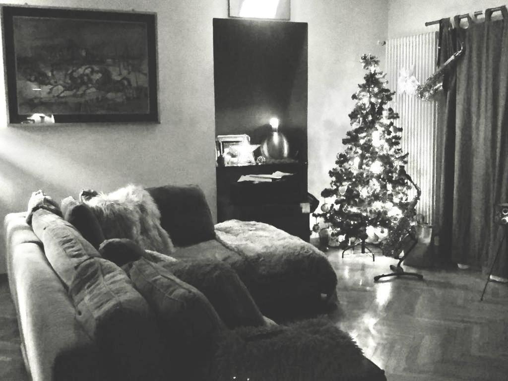 Family Apartamento