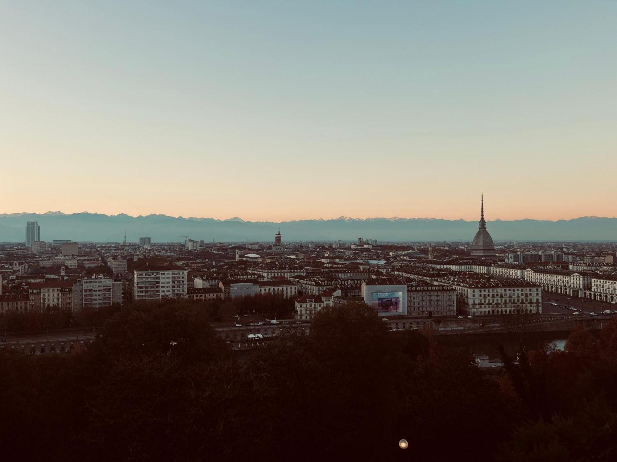 Family Turin